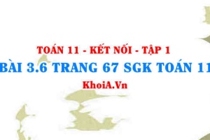 Bài 3.6 trang 67 SGK Toán 11 tập 1 Kết nối tri thức